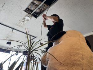 ある時は・・